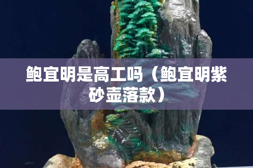 鲍宜明是高工吗（鲍宜明紫砂壶落款）