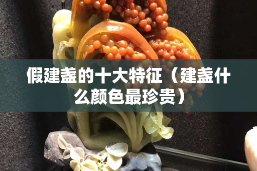 假建盏的十大特征（建盏什么颜色最珍贵）
