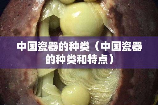 中国瓷器的种类（中国瓷器的种类和特点）