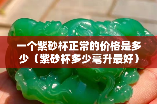 一个紫砂杯正常的价格是多少（紫砂杯多少毫升最好）