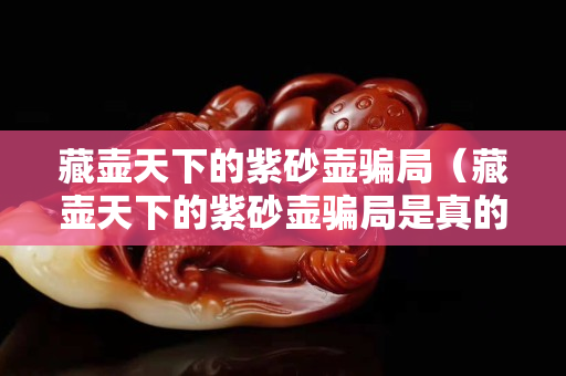 藏壶天下的紫砂壶骗局（藏壶天下的紫砂壶骗局是真的吗）