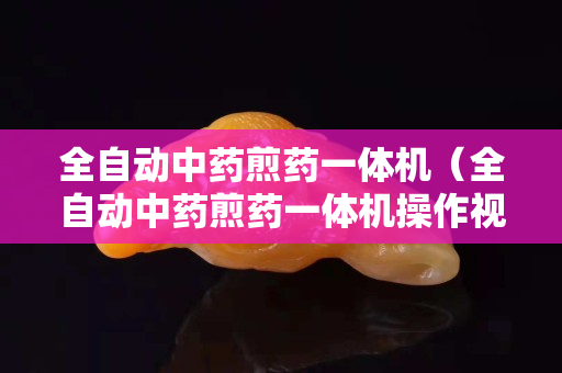 全自动中药煎药一体机（全自动中药煎药一体机操作视频）