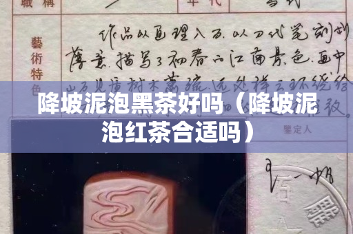降坡泥泡黑茶好吗（降坡泥泡红茶合适吗）