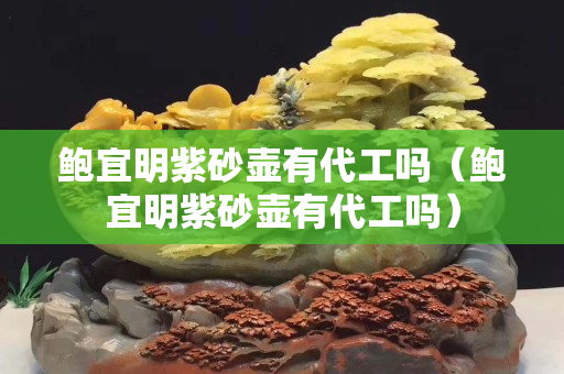 鲍宜明紫砂壶有代工吗（鲍宜明紫砂壶有代工吗）