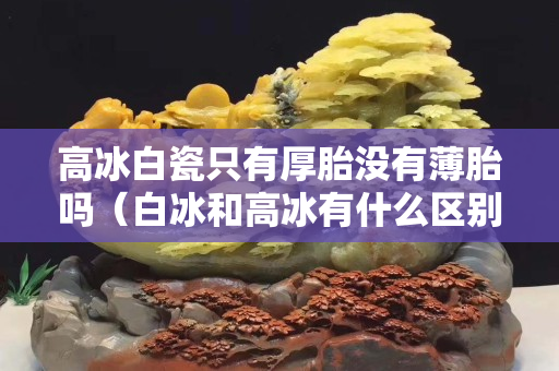 高冰白瓷只有厚胎没有薄胎吗（白冰和高冰有什么区别）