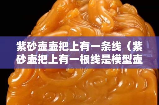 紫砂壶壶把上有一条线（紫砂壶把上有一根线是模型壶吗）