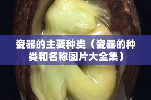 瓷器的主要种类（瓷器的种类和名称图片大全集）