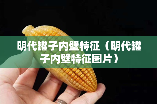 明代罐子内壁特征（明代罐子内壁特征图片）