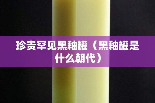 珍贵罕见黑釉罐（黑釉罐是什么朝代）