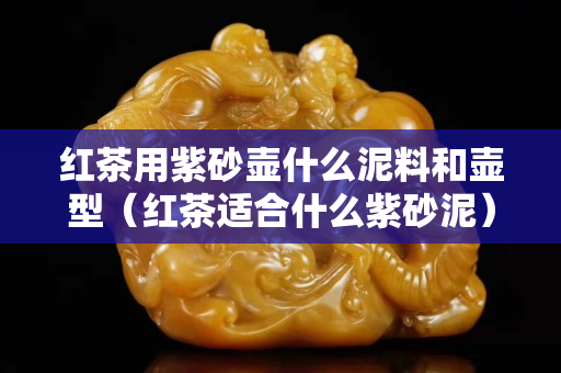 红茶用紫砂壶什么泥料和壶型（红茶适合什么紫砂泥）