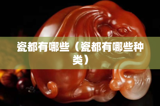 瓷都有哪些（瓷都有哪些种类）