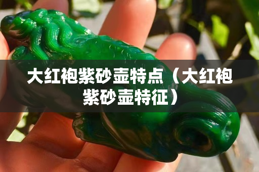 大红袍紫砂壶特点（大红袍紫砂壶特征）
