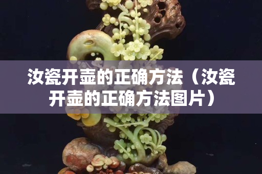 汝瓷开壶的正确方法（汝瓷开壶的正确方法图片）
