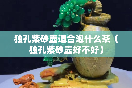 独孔紫砂壶适合泡什么茶（独孔紫砂壶好不好）