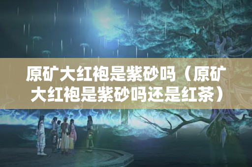 原矿大红袍是紫砂吗（原矿大红袍是紫砂吗还是红茶）