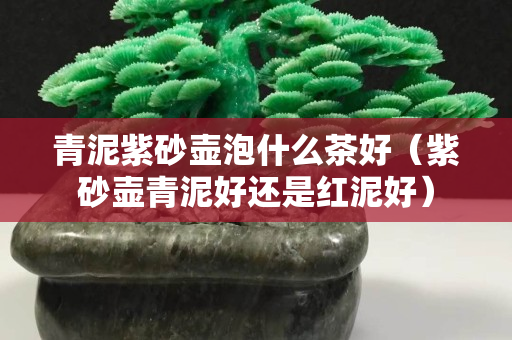 青泥紫砂壶泡什么茶好（紫砂壶青泥好还是红泥好）