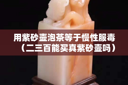 用紫砂壶泡茶等于慢性服毒（二三百能买真紫砂壶吗）