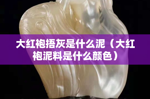 大红袍捂灰是什么泥（大红袍泥料是什么颜色）