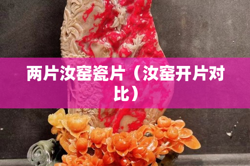 两片汝窑瓷片（汝窑开片对比）