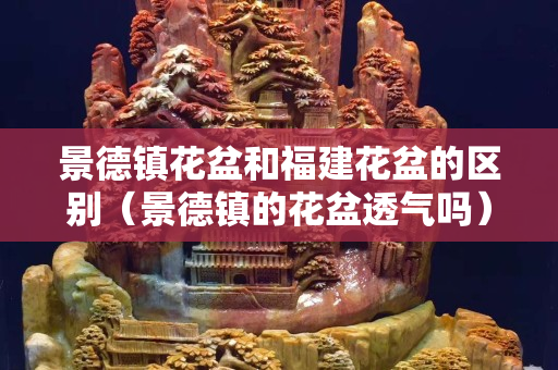景德镇花盆和福建花盆的区别（景德镇的花盆透气吗）