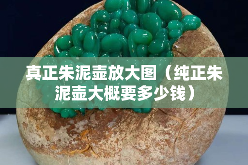 真正朱泥壶放大图（纯正朱泥壶大概要多少钱）