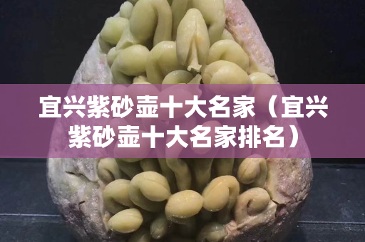 宜兴紫砂壶十大名家（宜兴紫砂壶十大名家排名）