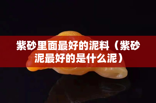 紫砂里面最好的泥料（紫砂泥最好的是什么泥）