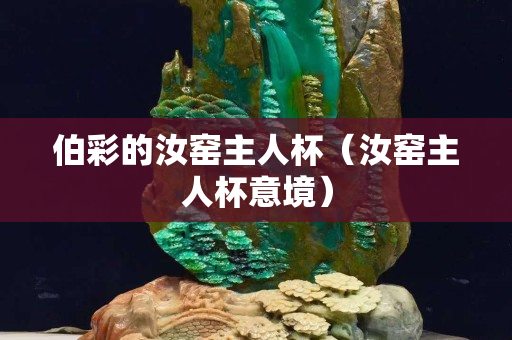 伯彩的汝窑主人杯（汝窑主人杯意境）