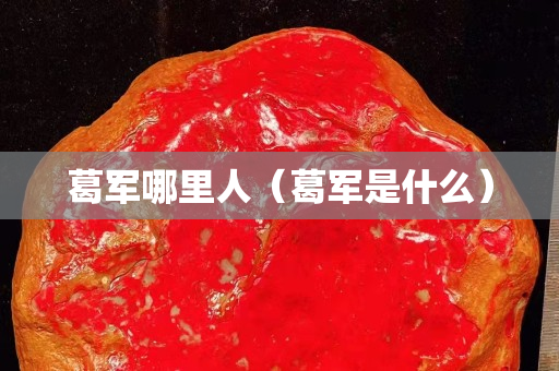 葛军哪里人（葛军是什么）
