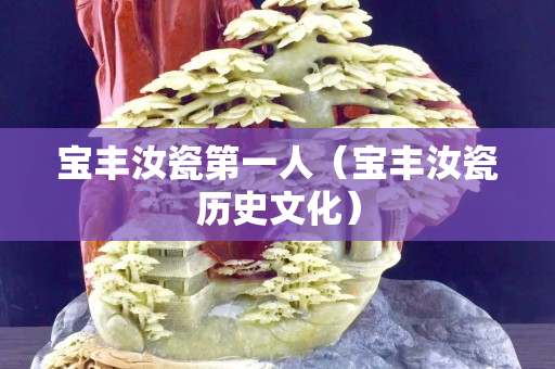 宝丰汝瓷第一人（宝丰汝瓷历史文化）