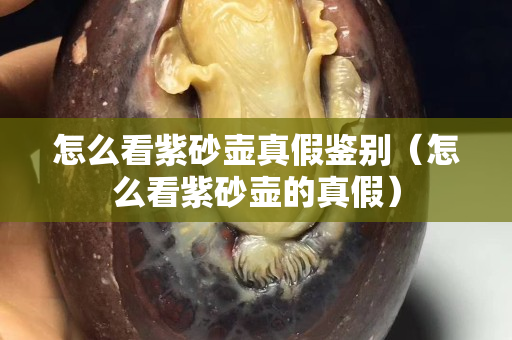 怎么看紫砂壶真假鉴别（怎么看紫砂壶的真假）
