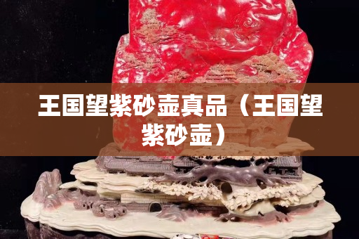 王国望紫砂壶真品（王国望 紫砂壶）