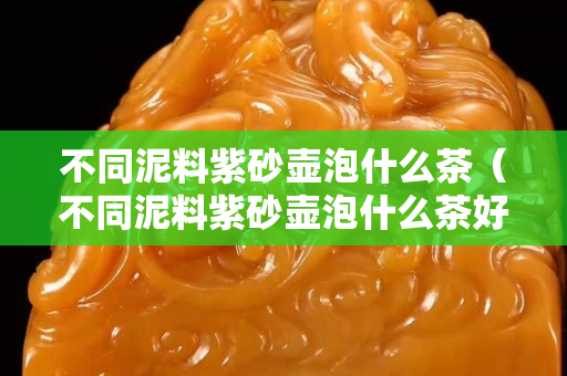 不同泥料紫砂壶泡什么茶（不同泥料紫砂壶泡什么茶好）