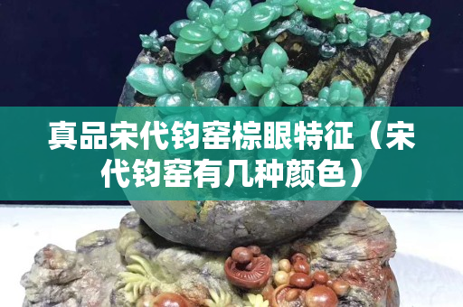 真品宋代钧窑棕眼特征（宋代钧窑有几种颜色）