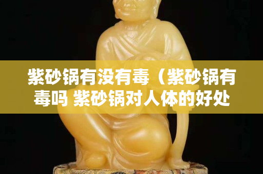 紫砂锅有没有毒（紫砂锅有毒吗 紫砂锅对人体的好处有哪些）