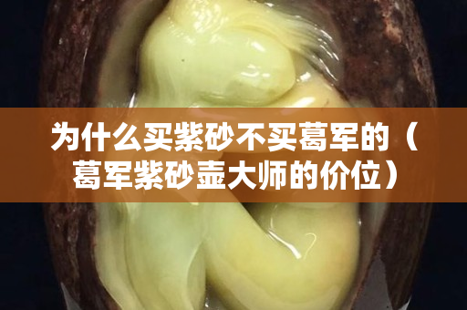 为什么买紫砂不买葛军的（葛军紫砂壶大师的价位）