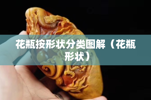 花瓶按形状分类图解（花瓶 形状）