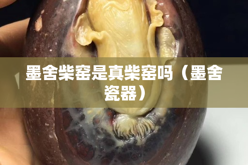 墨舍柴窑是真柴窑吗（墨舍瓷器）
