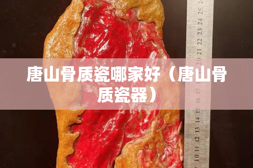 唐山骨质瓷哪家好（唐山骨质瓷器）