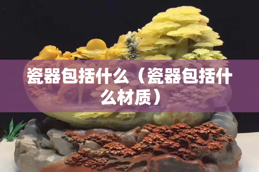 瓷器包括什么（瓷器包括什么材质）