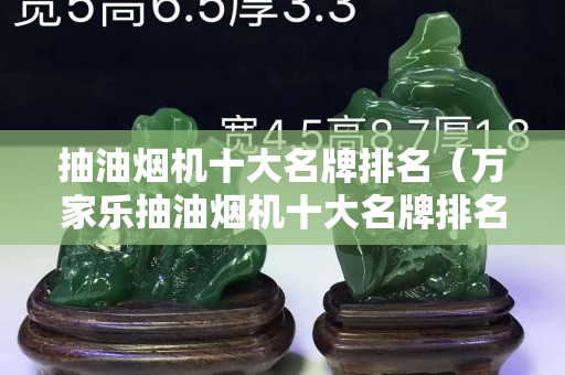 抽油烟机十大名牌排名（万家乐抽油烟机十大名牌排名）