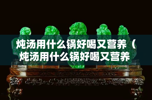 炖汤用什么锅好喝又营养（炖汤用什么锅好喝又营养 又快熟）