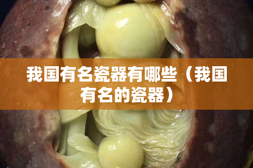 我国有名瓷器有哪些（我国有名的瓷器）