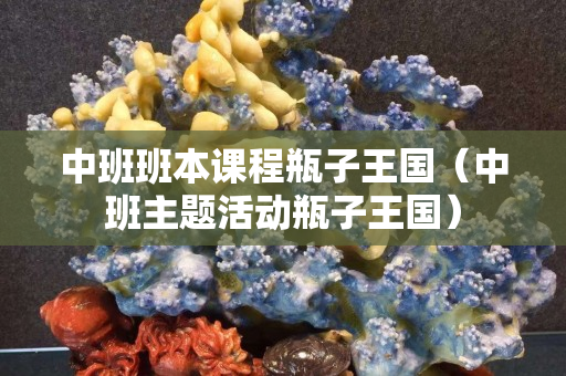 中班班本课程瓶子王国（中班主题活动瓶子王国）