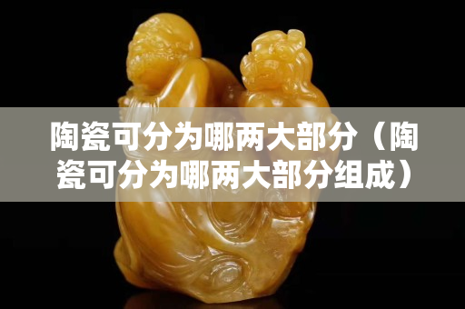 陶瓷可分为哪两大部分（陶瓷可分为哪两大部分组成）