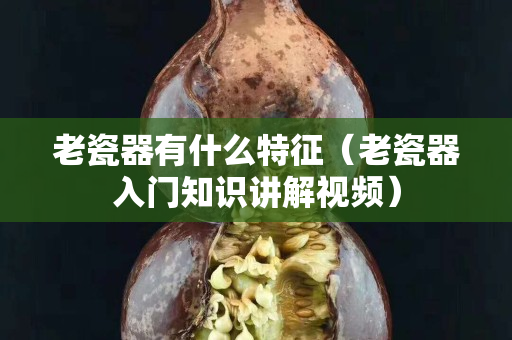 老瓷器有什么特征（老瓷器入门知识讲解视频）