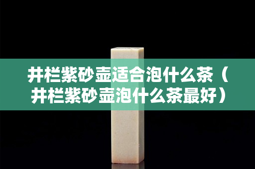 井栏紫砂壶适合泡什么茶（井栏紫砂壶泡什么茶最好）