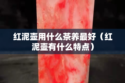 红泥壶用什么茶养最好（红泥壶有什么特点）