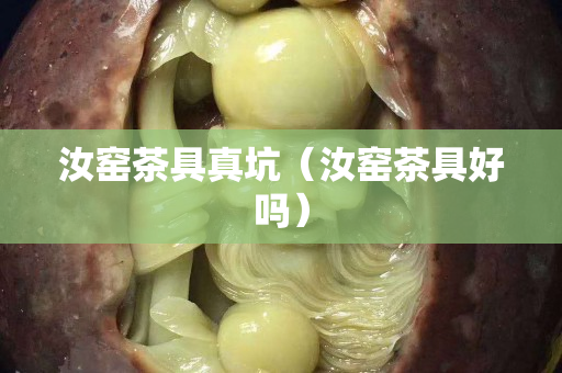 汝窑茶具真坑（汝窑茶具好吗）