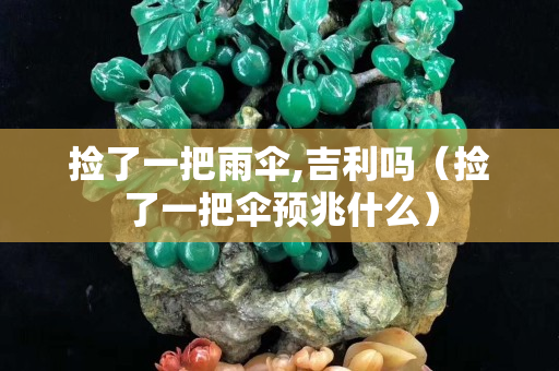 捡了一把雨伞,吉利吗（捡了一把伞预兆什么）